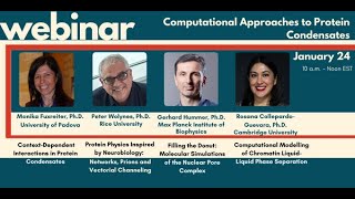 Computational Approaches to Protein Condensates [upl. by Eilsehc]