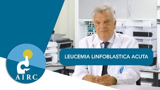 Leucemia linfoblastica acuta in età pediatrica sintomi diffusione prevenzione e cause [upl. by Gervase627]