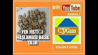 YER FISTIĞI HAŞLAMASI NASIL YAPILIR cyg123 videosu [upl. by Ahselak733]