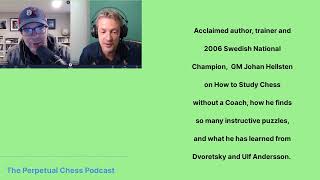 Renowned Author GM Johan Hellsten on Chess Improvement and the Origins of Mastering Chess Strategy [upl. by Dranreb]