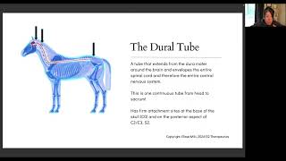 The Membrane System Key Pillars of Craniosacral Therapy [upl. by Weston]