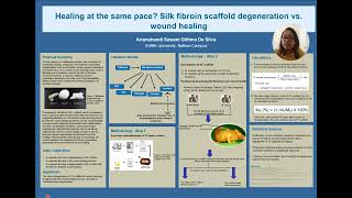 Healing at the same pace Silk fibroin scaffold degeneration vs wound healing [upl. by Donatelli829]