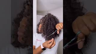 Curly Fro Tutorial featuring Serene curls  Trendy Tresses [upl. by Yonina440]