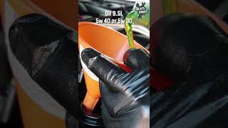 Quick BMW M5 Oil Change Liqui Moly Molygen 5w40 Shorts [upl. by Leshia]