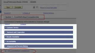 Performance Plan  Entering CoreIndividual Competencies EeMgr [upl. by Bick]