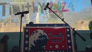 Naps for All San Antonio Zoo Launches ‘Timothy for President’ Campaign [upl. by Raimundo]