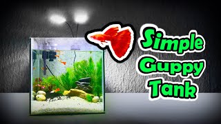 SIMPLE GUPPY FISH TANK setup  Simple DIY for AFR Albino Full Red Guppy Tank Aquarium Setup [upl. by Maison200]