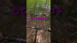 Basse Octopus 🐙 Vallée BrasduNord mtb vtt RideQuebecCity epicbikestore mtbqc [upl. by Absalom]