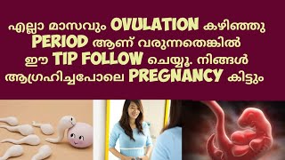 Tips to Support Implantation Deechus world Malayalam [upl. by Jeana210]