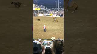 Reno Rodeo 2024 Breakaway Roping [upl. by Phenica]