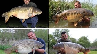 Carp Fishing Cottington Lakes 2016 Including 14 fish over 30lbs to 41lbs [upl. by Oirobil814]