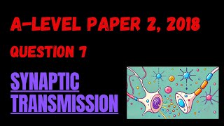 Paper 2 2018  Q7 Synaptic Transmission [upl. by Adilem]