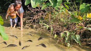 Single mother and baby caught many fish in an abandoned pond 17 year old single mother [upl. by Ellenehs]