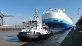 Car Carrier quotA LADYBUGquot in Bremerhaven [upl. by Aisitel]