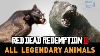 Red Dead Redemption 2 All Legendary Animals [upl. by Terri]