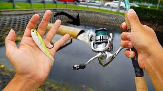 Light Tackle SPILLWAY Tarpon [upl. by Suiluj]