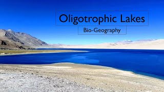 Oligotrophic Lakes  Environmental Geography  Bio Geography  Geography [upl. by Barbi]