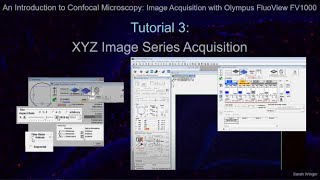 Tutorial 3 XYZ Image Series Acquisition [upl. by Amoeji]