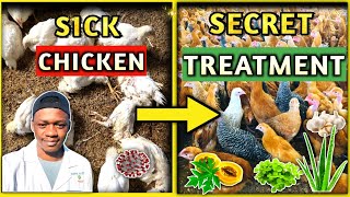 Common Chicken Diseases Prevention And Treatment [upl. by Esinehc]