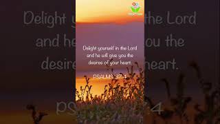 Delight yourself in the bible quotes christ proverbs thinkcreatelearn [upl. by Yvehc]