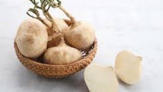 Bengkoang also known as jicama has several health benefits [upl. by Clippard]