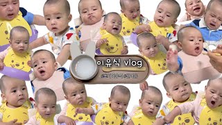 1 VLOG 김슈의 첫 이유식  이유식의 세계로 온 걸 환영해 🎉 [upl. by Trahurn]