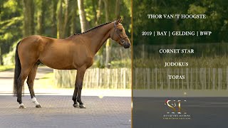 THOR VAN ’T HOOGSTE Movements Cornet Star x Jodokus [upl. by Norabel821]