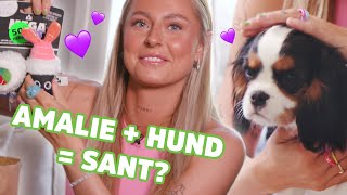 SKAL JEG FÅ MEG NY HUND  AMALIE OLSEN [upl. by Yesnel262]