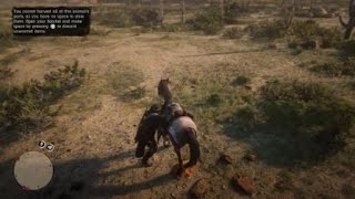 California Horned Owl Hanging Rock 7pm RDR2 Red Dead Redemption 2 [upl. by Nileuqcaj70]