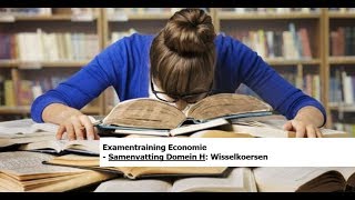 Examentraining Economie Samenvatting Domein H  22 Wisselkoersen [upl. by Nerrual]