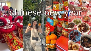 CHINESE NEW YEAR VLOG🧧🍊  reunion dinners house visitings feasting outfits📍sg [upl. by Monjo]