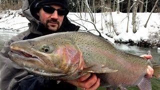 Float Fishing Steelhead [upl. by Gherardo738]