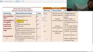 biophysical profiles scoring modified biophysical profile [upl. by Eenal103]