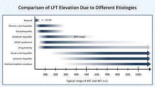 Interpretation of LFTs Liver Function Tests [upl. by Allebram]