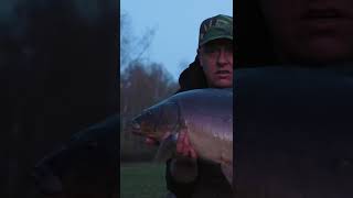 short Fishing for Big Carp at a Reading Country Park  Ed Betteridge  Carp Fishing 2024 [upl. by Seema]