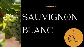 Sauvignon Blanc Pronunciation How to Pronounce sauvignonblanc pronunciation [upl. by Padraig493]