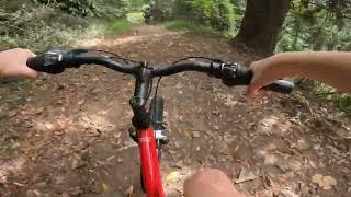 forest loop mtb [upl. by Aicen]