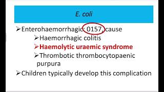 Ecoli Clinical microbiology MRCS question solve CRACK MRCS [upl. by Hurley]