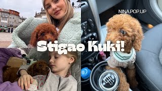 Vlog I Stigao nam novi clan porodice [upl. by Coulombe]