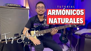 Armónicos Naturales  Tutorial para bajo  Tiago Andree [upl. by Berrie]