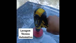 Lavagem Técnica dessa Tracker automobile limpezaautomotiva higienizacaoautomotiva detailing [upl. by Ennalyrehc]