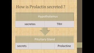 hyperprolactinemia [upl. by Engdahl]