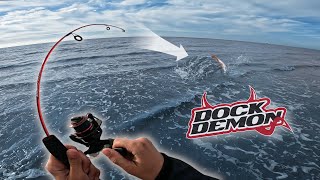 FISH OF A LIFETIME vs ZEBCO Dock Demon mini rod DID IT BREAK [upl. by Shelby]