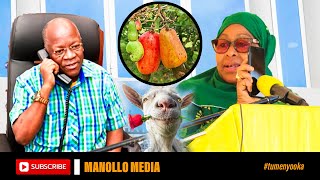 MZIMU WA MAGUFULI WAONEKANA MTWARA SAMIA AWAPA JEURI WAKULIMA WA KOROSHO [upl. by Ahsaele483]