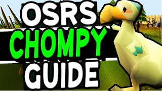 The Ultimate Chompy Hunting Guide Old School Runescape [upl. by Aimahc]