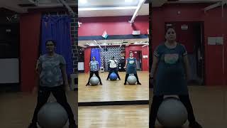 Swiss ball squats  aerobics swissball fitness squat weightloss [upl. by Let117]