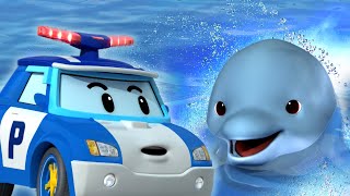 My Animal Friends│POLI 2 Hour Compilation│Protect the Dolphins│Safety Episodes│Robocar POLI TV [upl. by Adnaloj697]