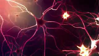 Neurons or Nerve cells [upl. by Bena]