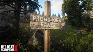 Pronghorn Ranch Sign as Arthur  RDR2 [upl. by Herold224]