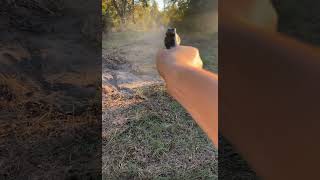 Double action revolver irl rdr2 [upl. by Aiasi19]